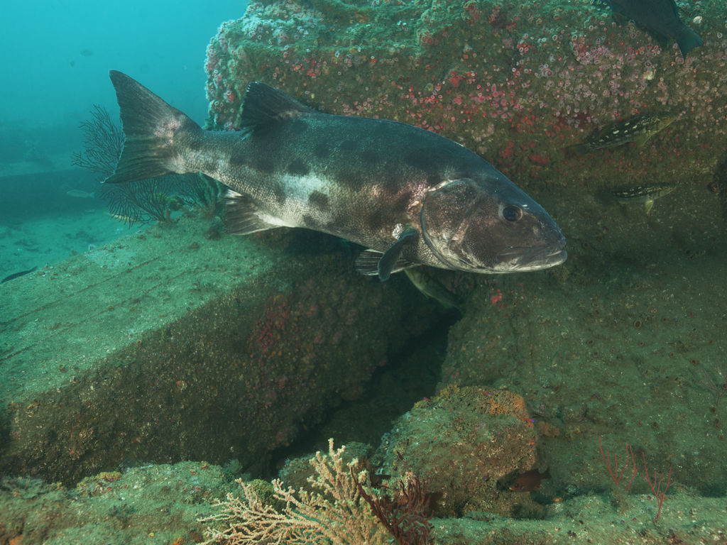 d1576d4d-fee5-4173-9cd0-b1b1729e896d