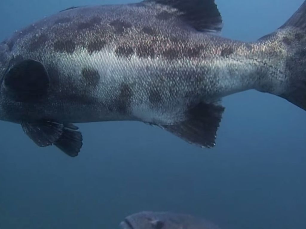 f15fe800-264d-4409-8c80-5c4def594701