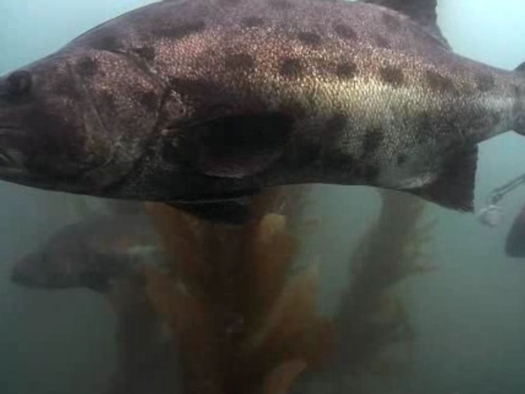 f85f4862-f9d0-4643-8e8d-0658ce023c35