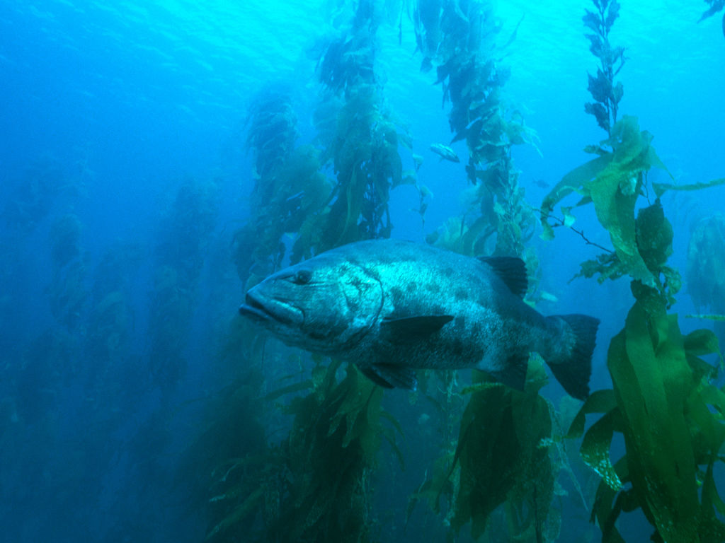 8d269c74-bbe4-403d-9c73-2fdc5f28d3b3