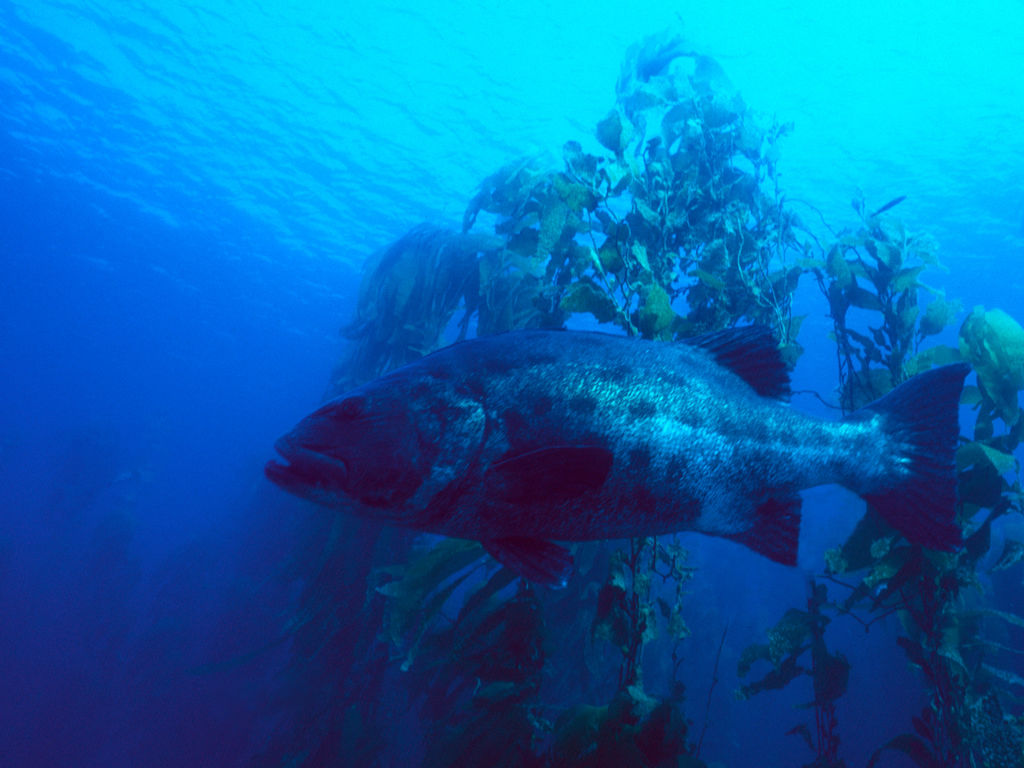 8d269c74-bbe4-403d-9c73-2fdc5f28d3b3