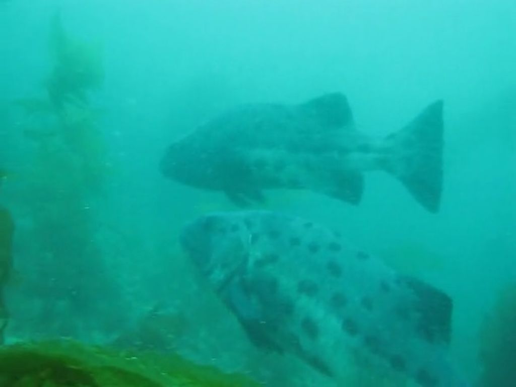 d173b459-009b-4c00-baac-c169177537a2