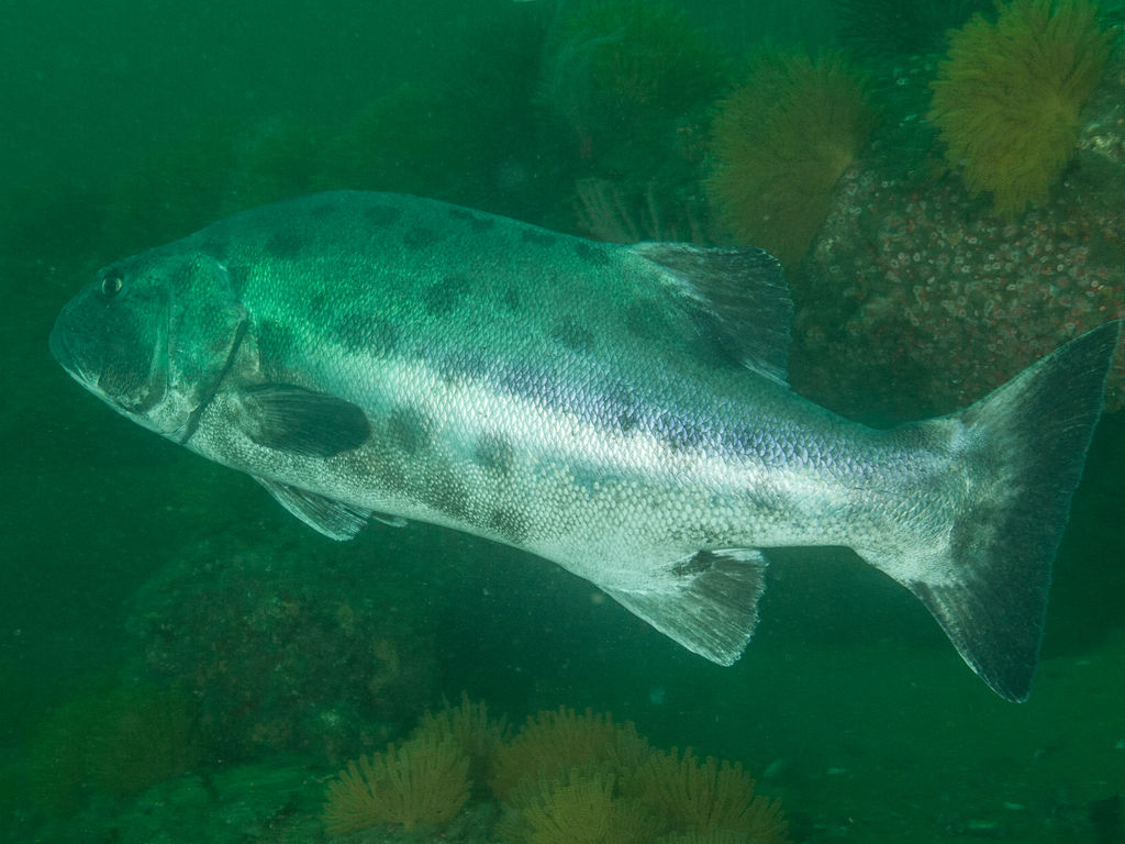 ede0fa93-811a-4c27-a78b-d82c5100099f