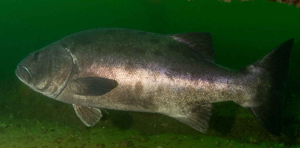 e76a4f75-fead-4662-bf9a-fc8f6ed3d164