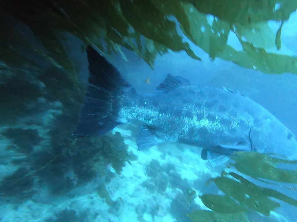 fc40ebb3-6e75-4b0d-a7f3-4a005f29ee2f