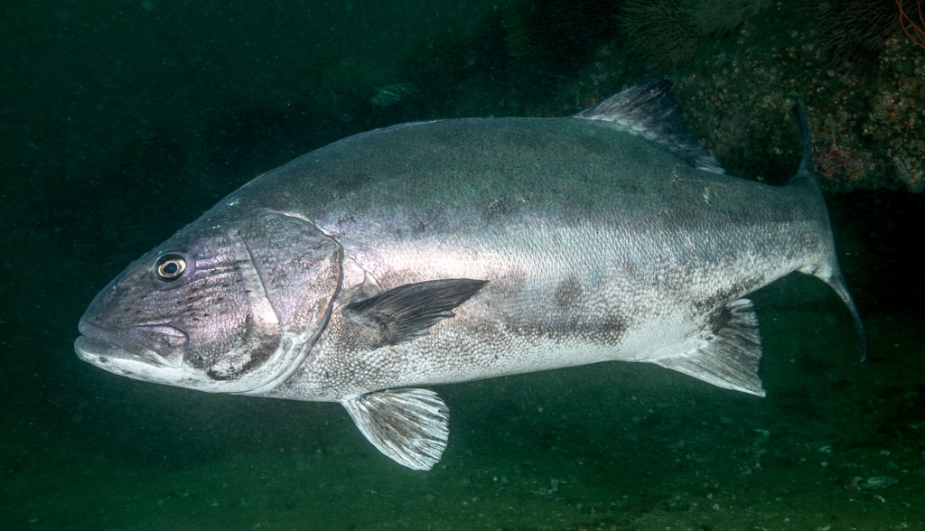 d0241bdb-c33c-449b-a9c4-eae00dc4b48d