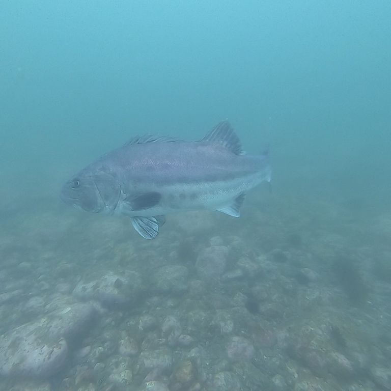 e9b2483f-2370-4337-8381-0ea34ea6592c