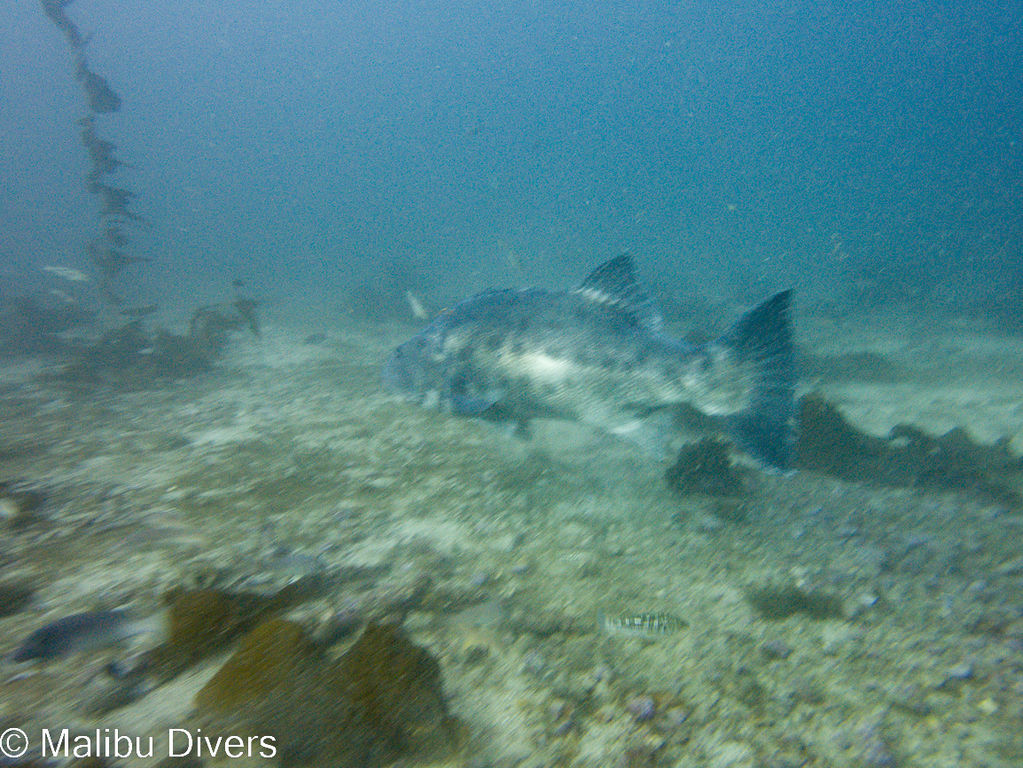 cd3602ed-0bf9-4443-9470-8e3873b729ce