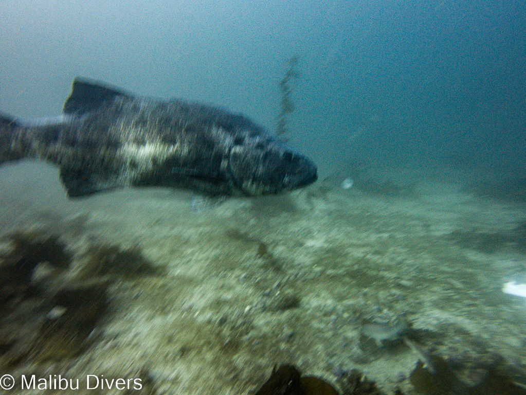 cd3602ed-0bf9-4443-9470-8e3873b729ce