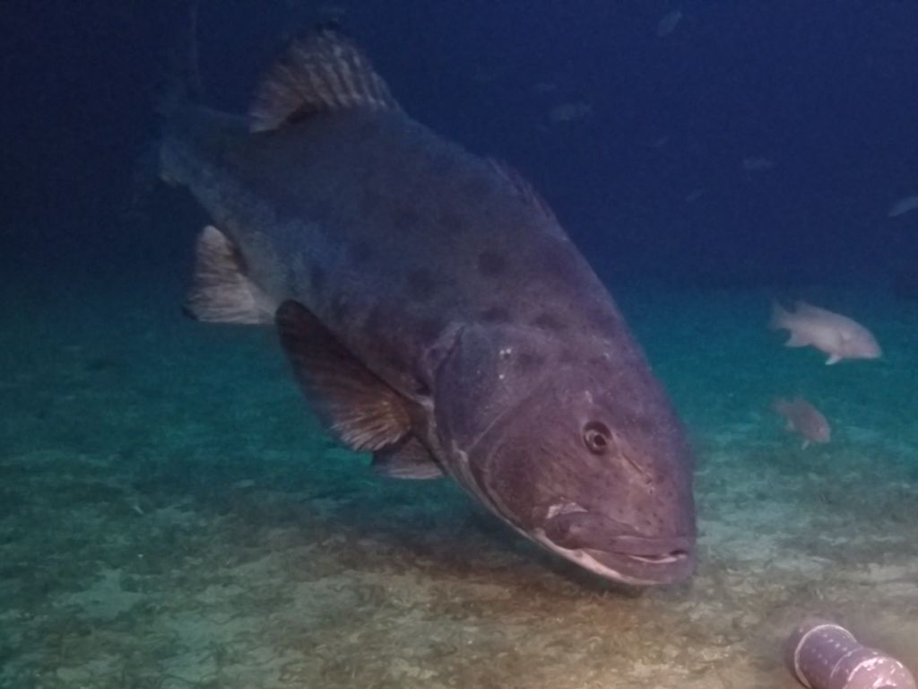 2ad98d58-5b23-4749-bea4-a675542eba49