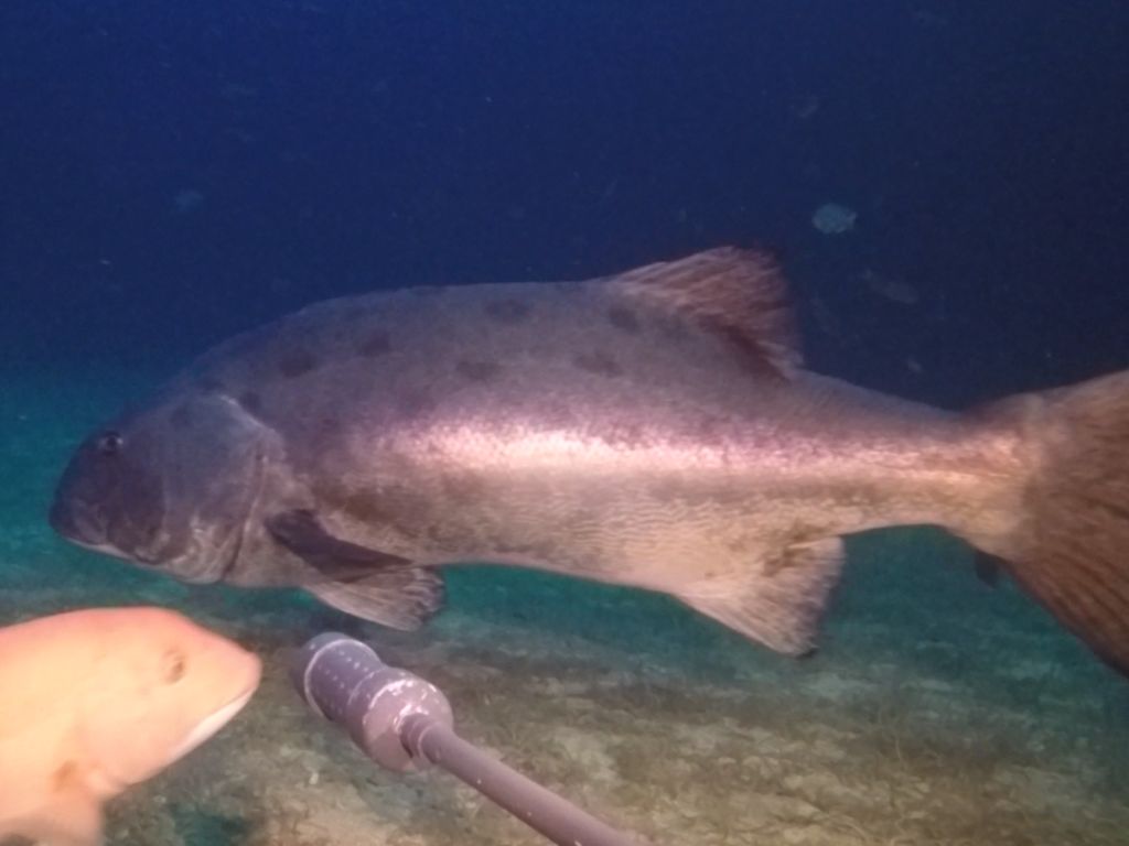 2ad98d58-5b23-4749-bea4-a675542eba49