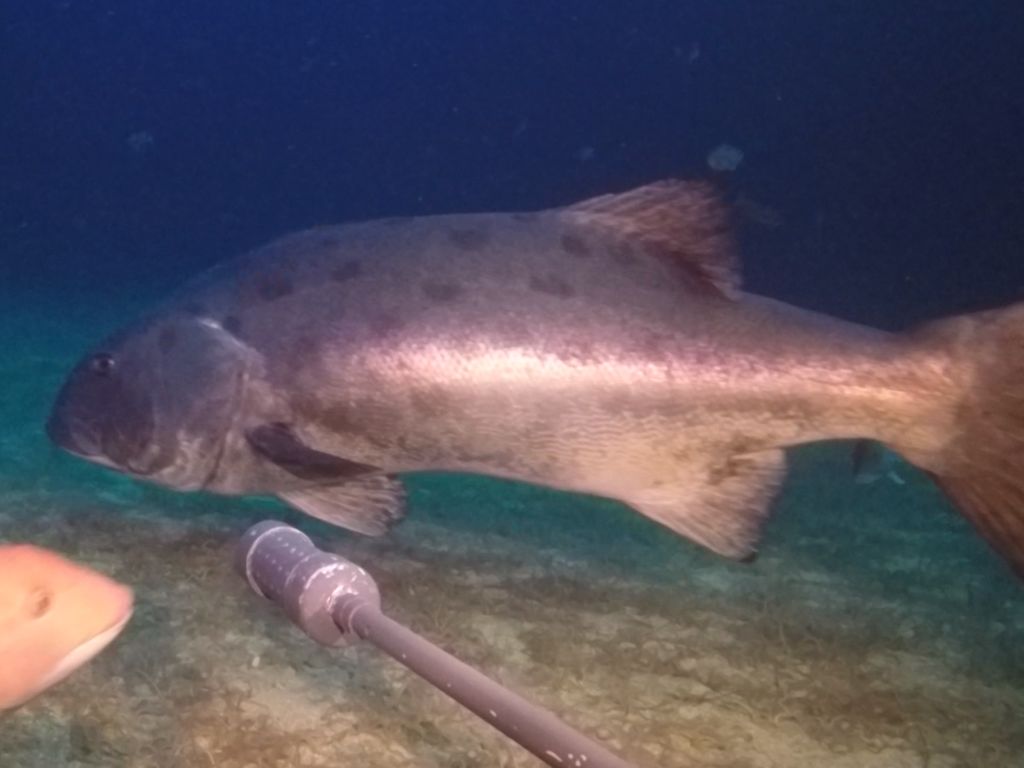 2ad98d58-5b23-4749-bea4-a675542eba49