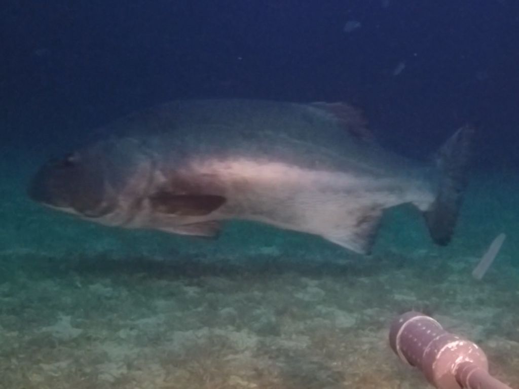 2ad98d58-5b23-4749-bea4-a675542eba49