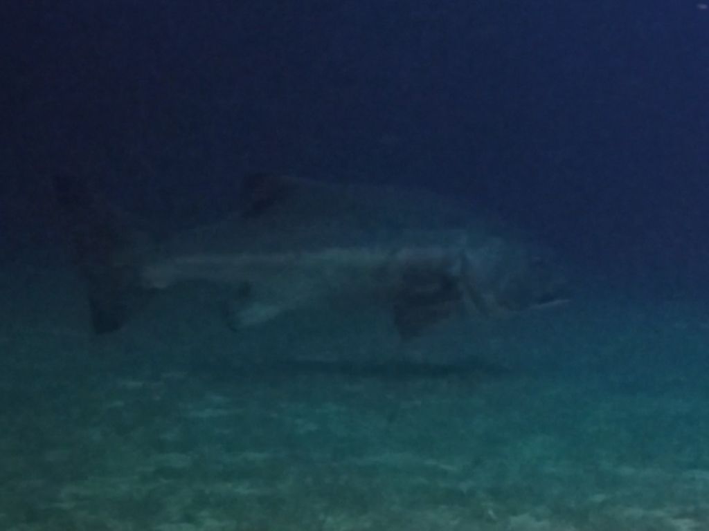 2ad98d58-5b23-4749-bea4-a675542eba49