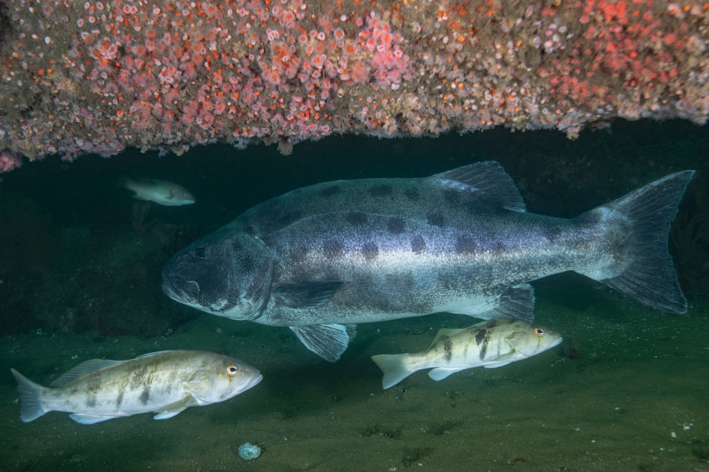 881f7635-860e-453f-b447-6b4f68e98f50