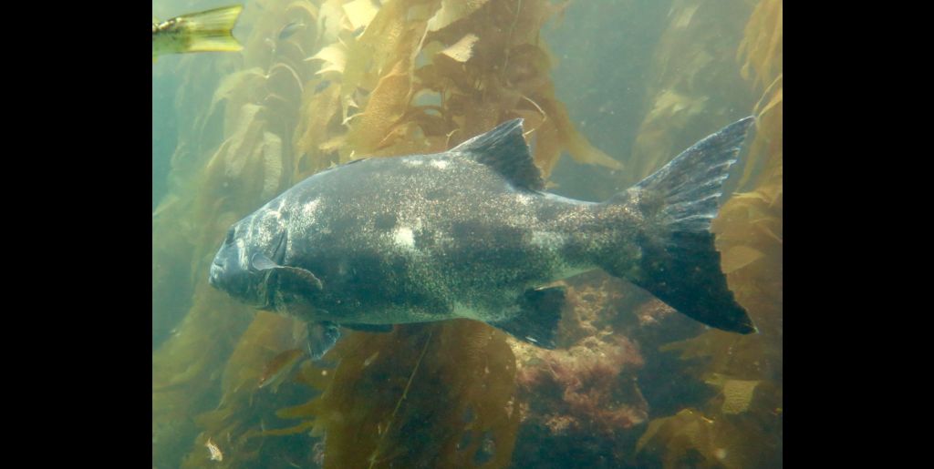 c06a2e92-54fd-4a32-8e57-49052aa1e502