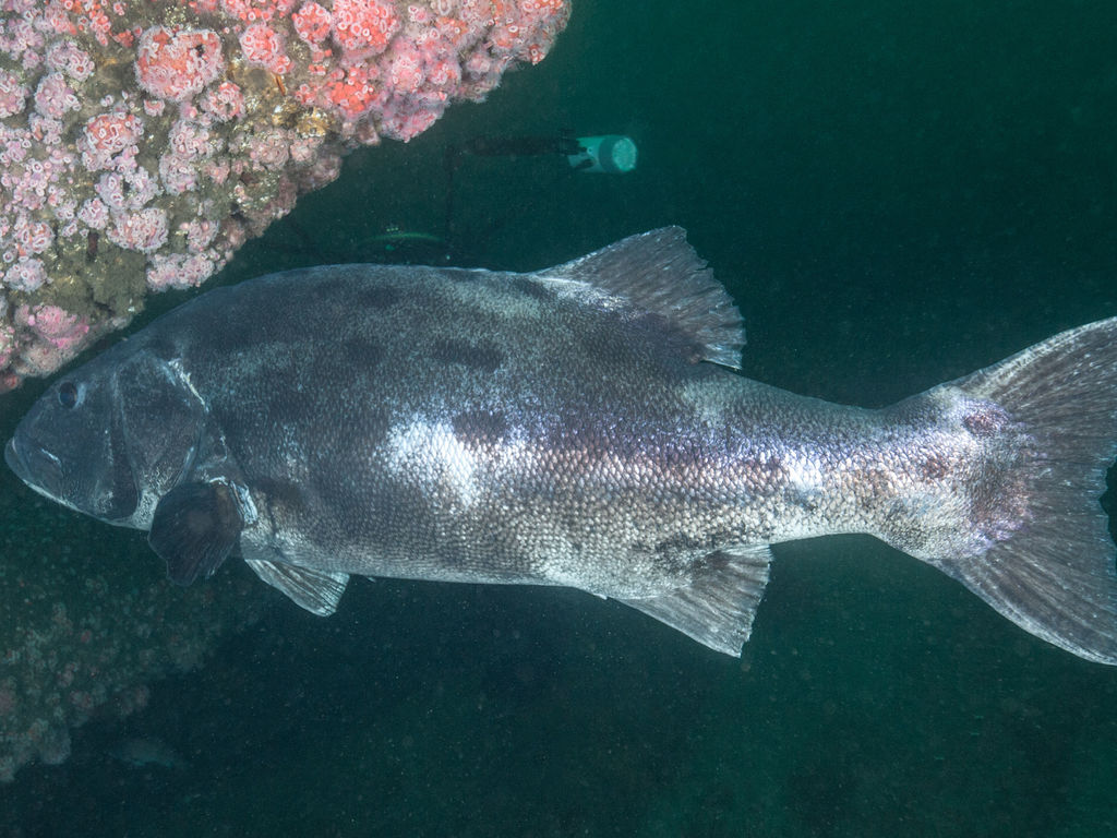 9d938deb-a821-4db1-8300-7ccf767ddf46