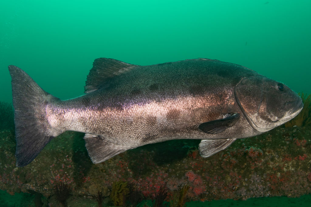 ba28c90a-4a59-4b04-9fda-61020e9dd244