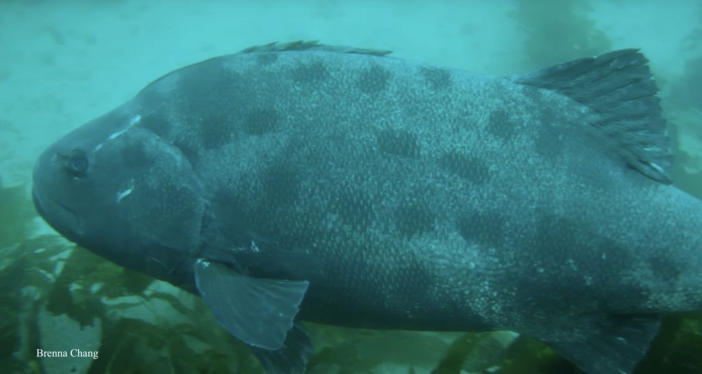 5111edb6-2866-4cbe-8c4f-881287e114ce