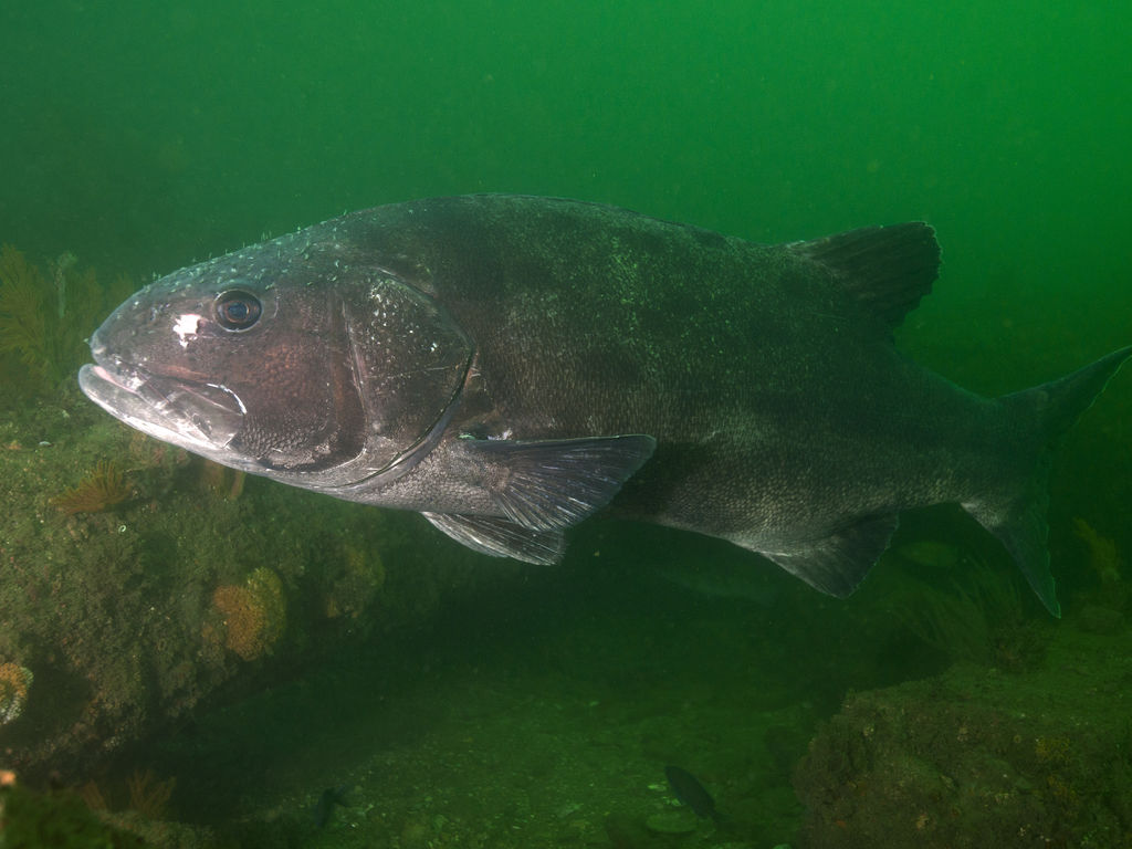 d1232eca-883a-4ca9-8167-bb7cab5956b9