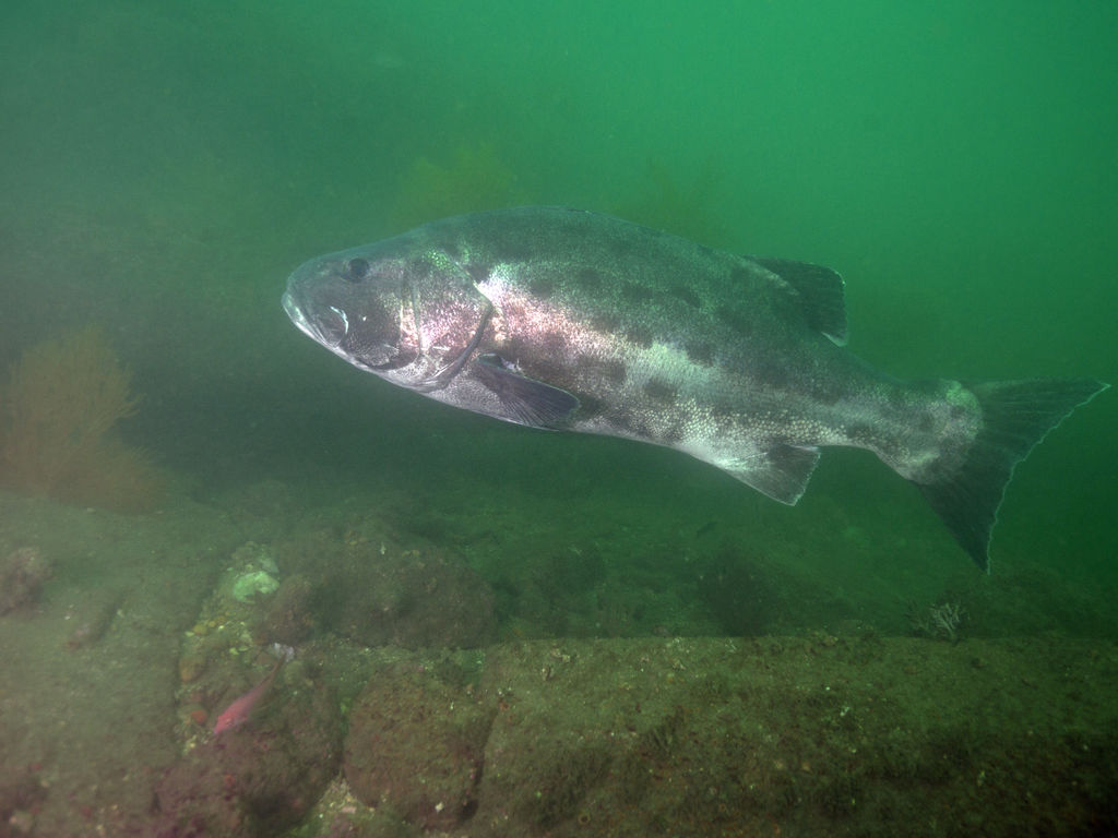 4a9bb515-dfe2-4f14-a46d-3a381354ae5e