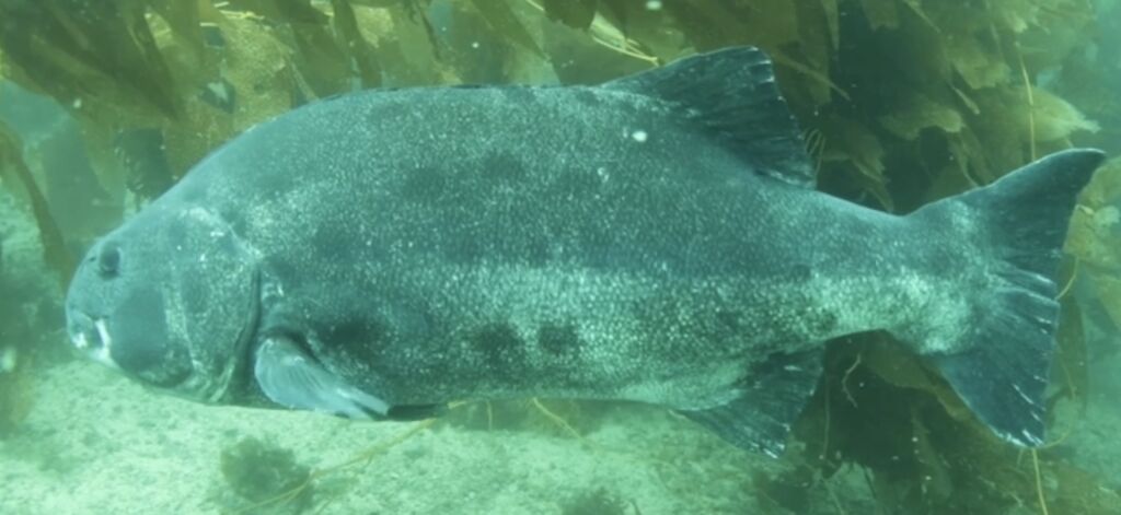 9447d923-9a09-4a7e-b511-f3caa411c47f