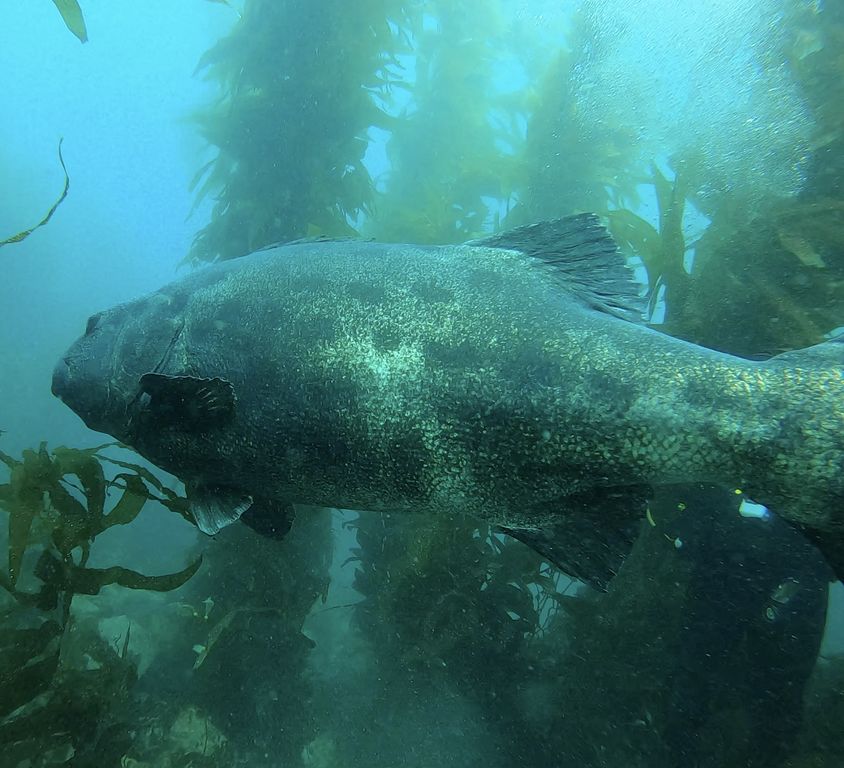 5a07dac3-2d0f-4f6f-855b-758e3f667608