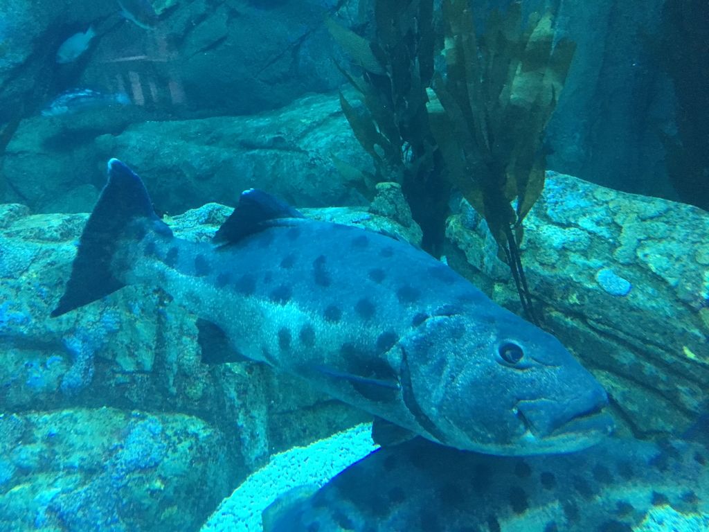 2f108471-2a01-4808-a015-bacbe5ad035b