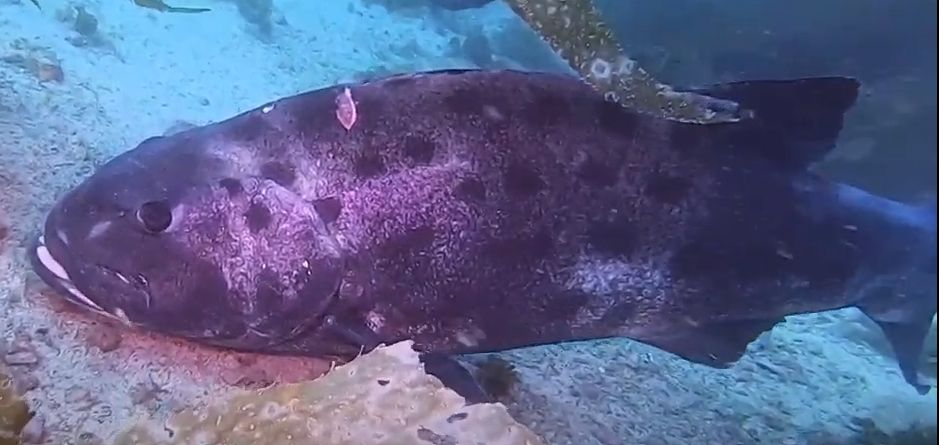 fd6f23b4-ebc4-489d-babf-69f288162ea1