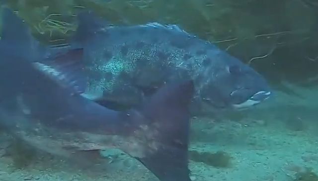 fd6f23b4-ebc4-489d-babf-69f288162ea1