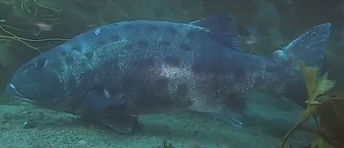 fd6f23b4-ebc4-489d-babf-69f288162ea1