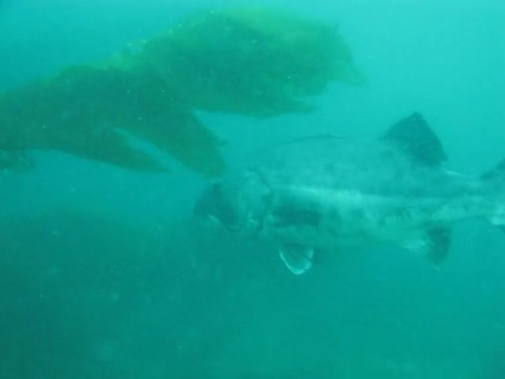 4ebb3f40-860b-48ba-96f3-dba16efef400