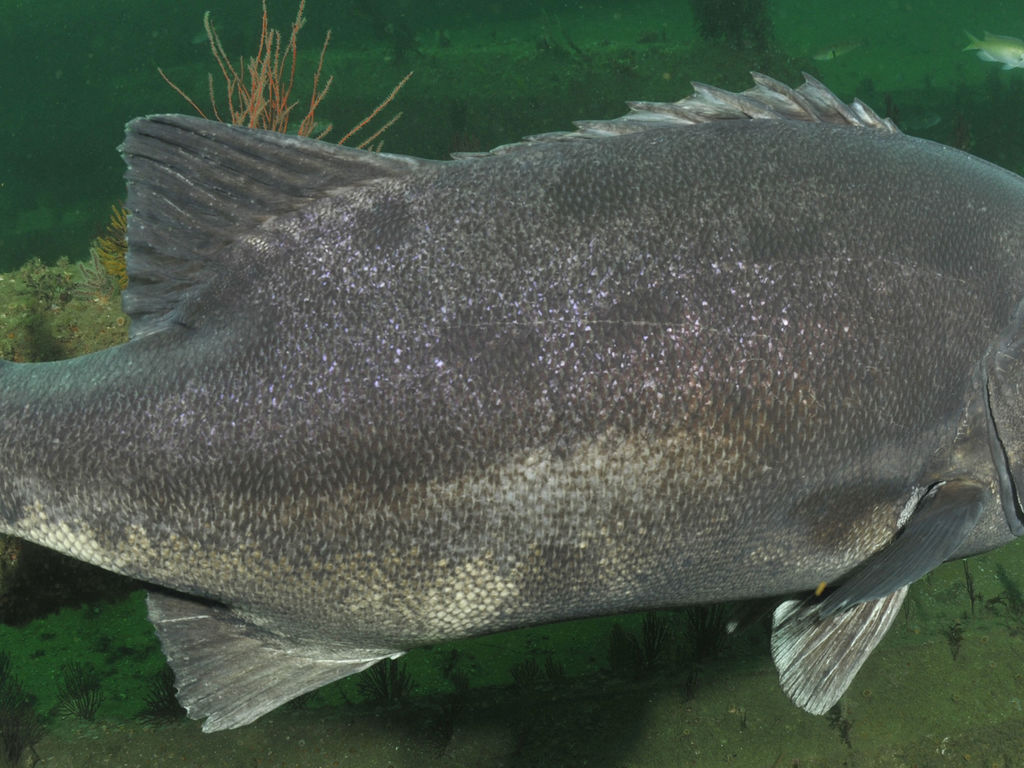 659ce3f6-63cb-4a27-bf3f-6d3467e8edb7