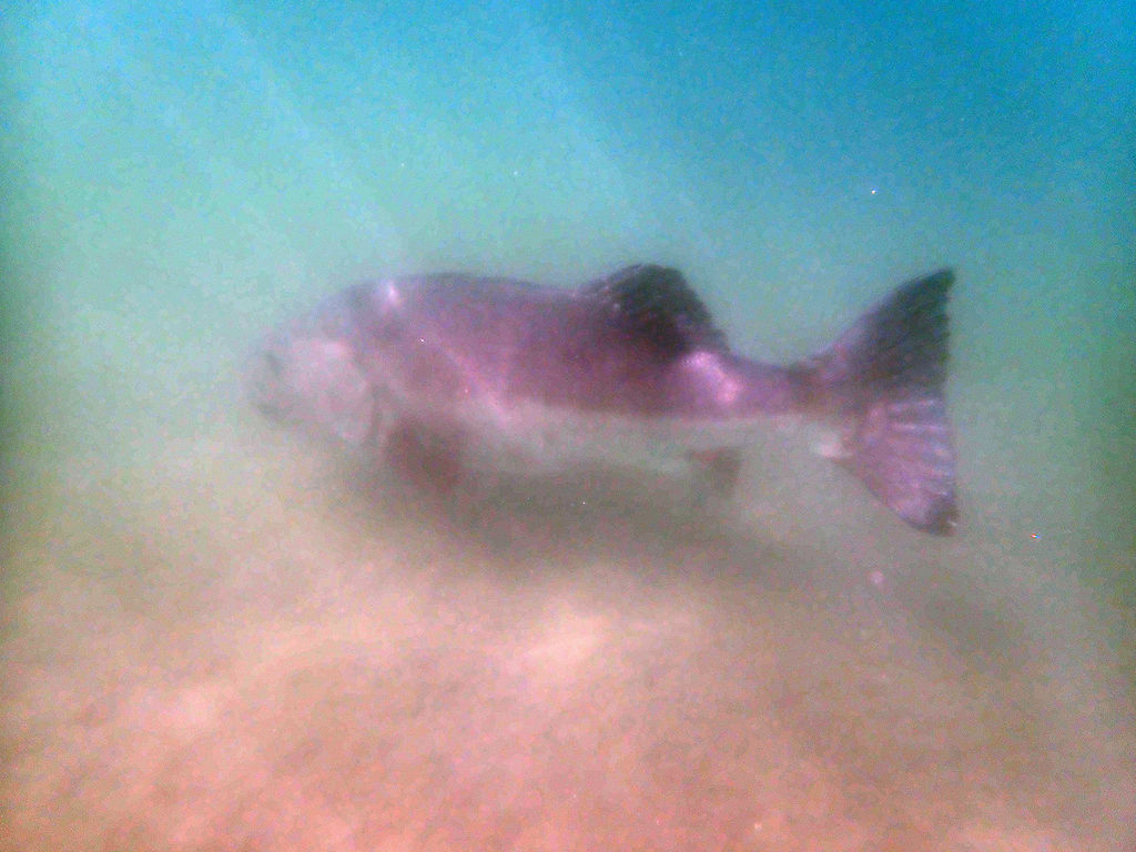 331a2e6f-3a98-4e26-9af5-234c1b4fbee4