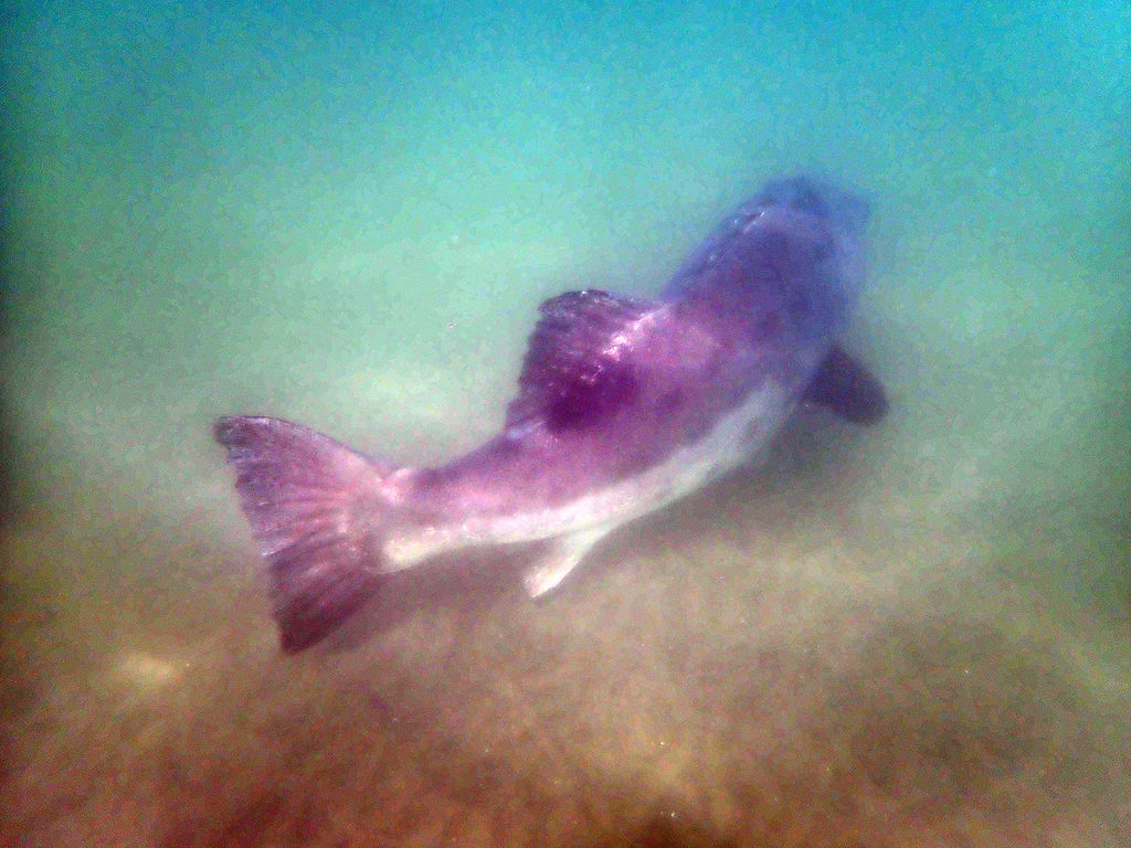 331a2e6f-3a98-4e26-9af5-234c1b4fbee4