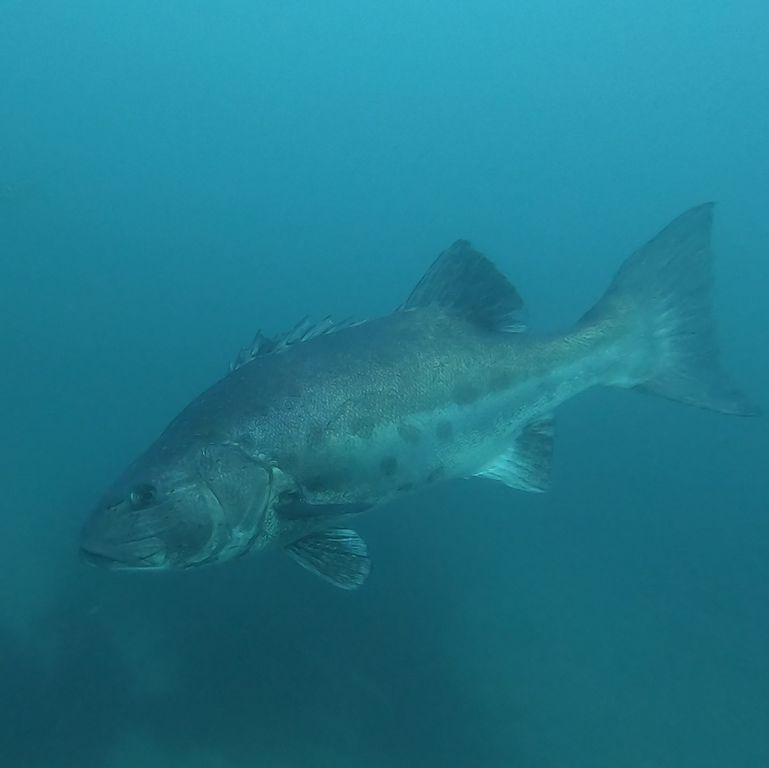 1ba8c438-1e74-4a99-929c-7abc87479f4e