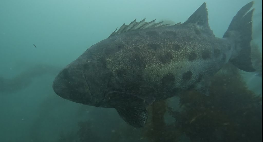 81146f43-a149-4663-a125-d18f567ca061