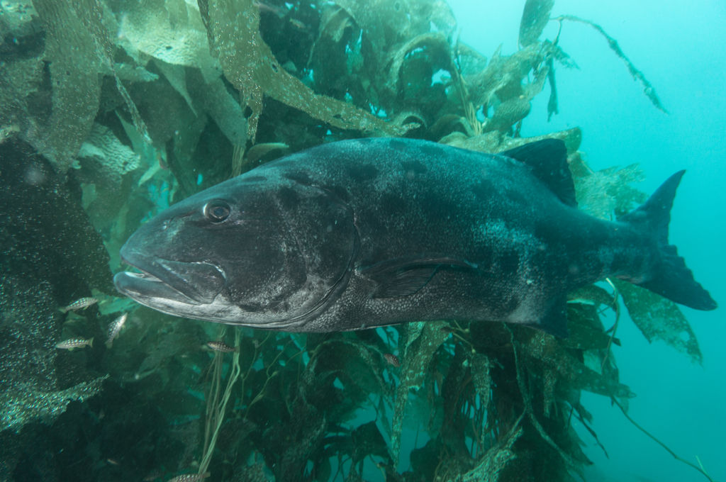 e32e05ba-4bde-4364-83fb-807c5242cf09