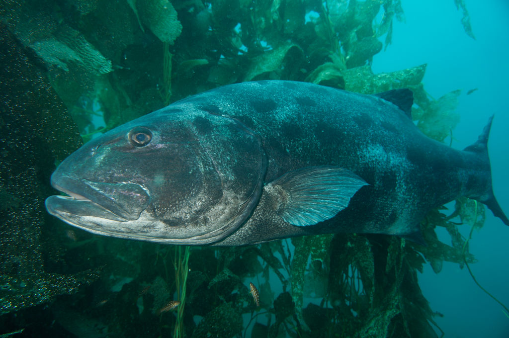 e32e05ba-4bde-4364-83fb-807c5242cf09