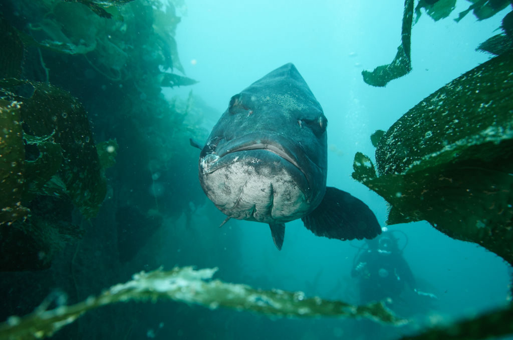 e32e05ba-4bde-4364-83fb-807c5242cf09