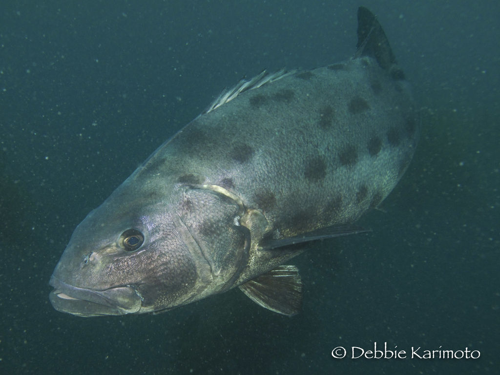 61527a4c-37d7-4c74-baa9-2e23205aa76c