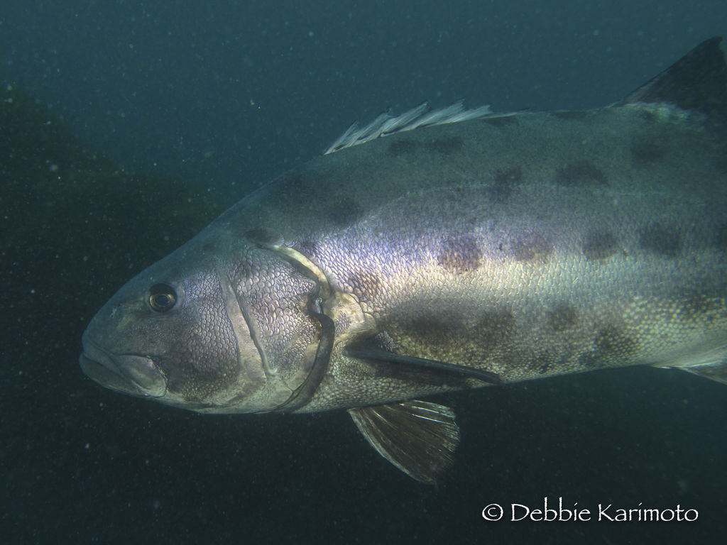 61527a4c-37d7-4c74-baa9-2e23205aa76c