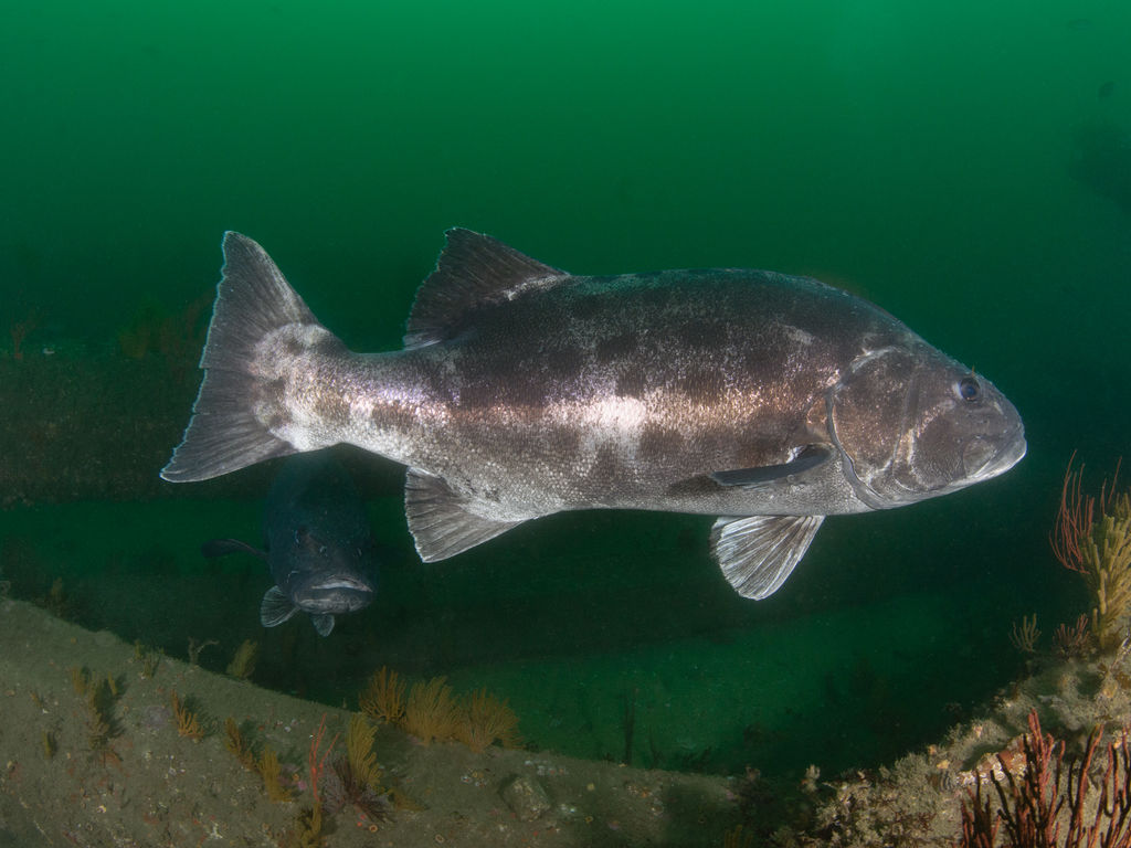 af69a0f3-8003-499e-b509-944071777542