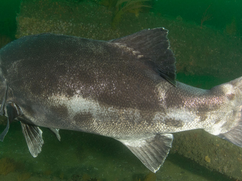 af69a0f3-8003-499e-b509-944071777542