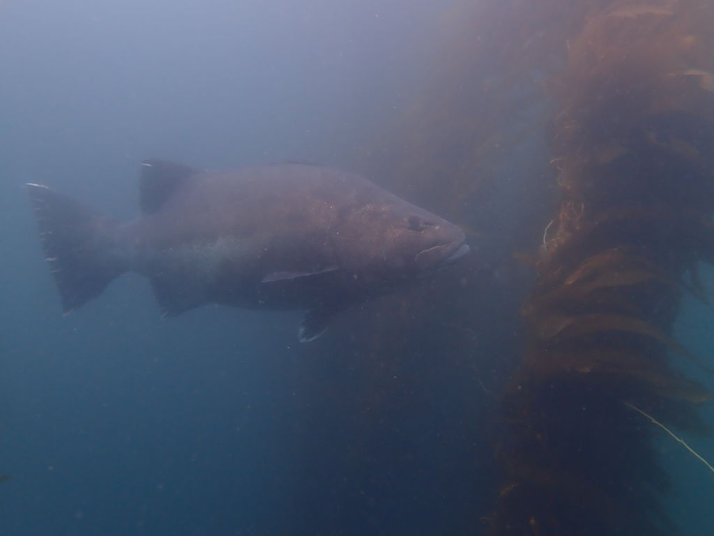 86bf53df-f269-4749-9e2a-a1455181bec5