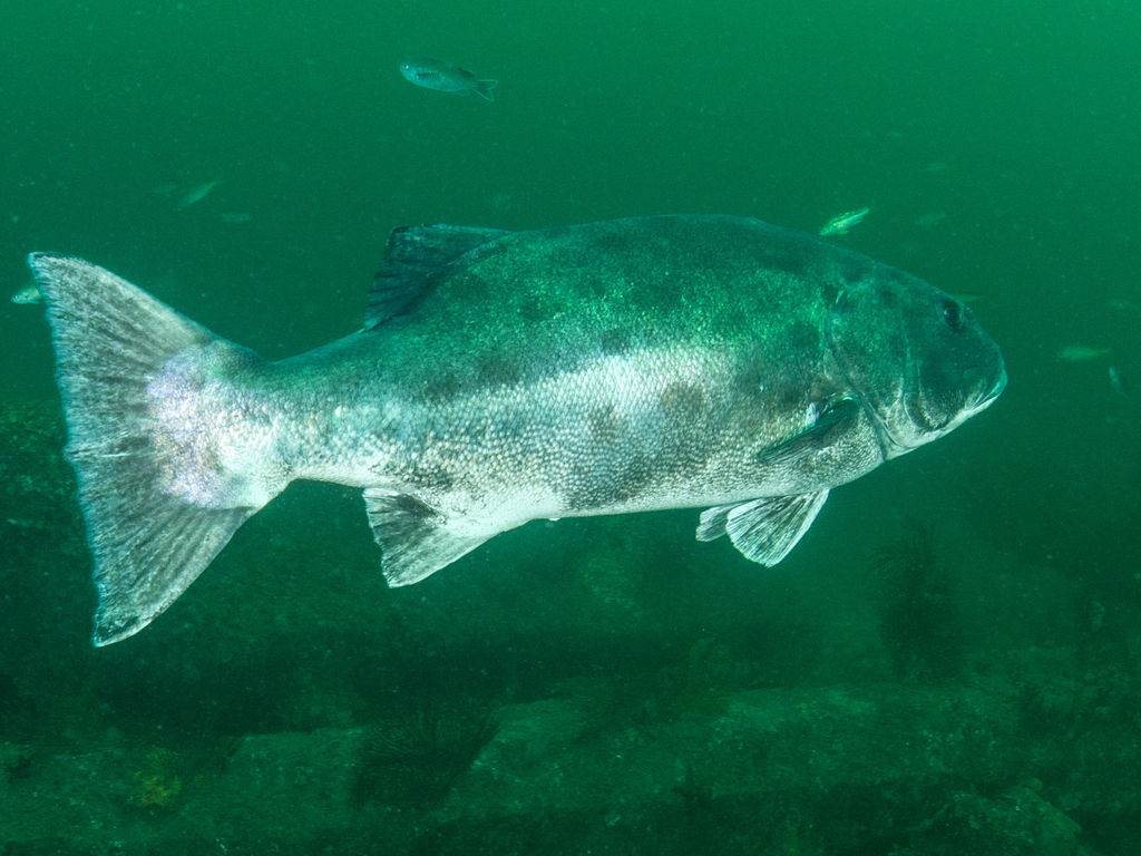 ad6ff257-8b15-4418-bab3-bb2a654169be