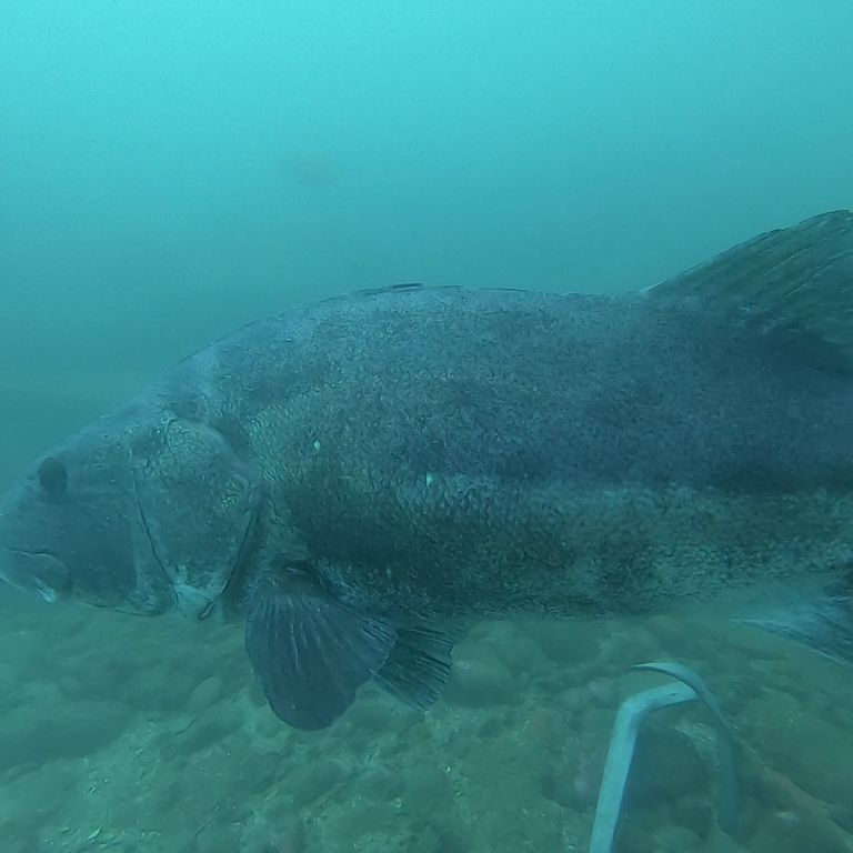 95dbf037-cc6b-4cdb-8c40-a81ced19e4cd