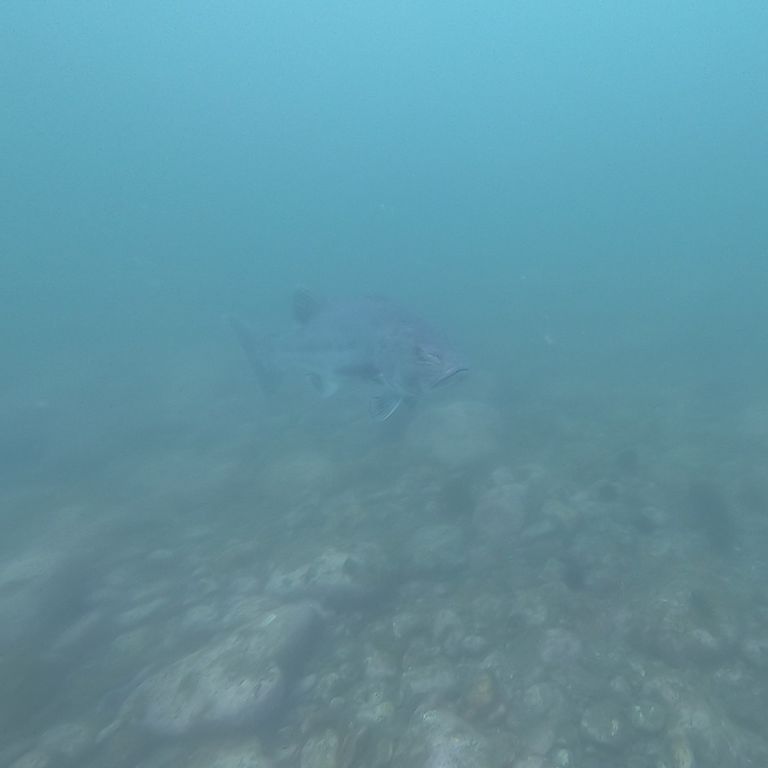 e9b2483f-2370-4337-8381-0ea34ea6592c