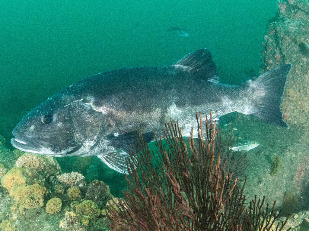 d1576d4d-fee5-4173-9cd0-b1b1729e896d