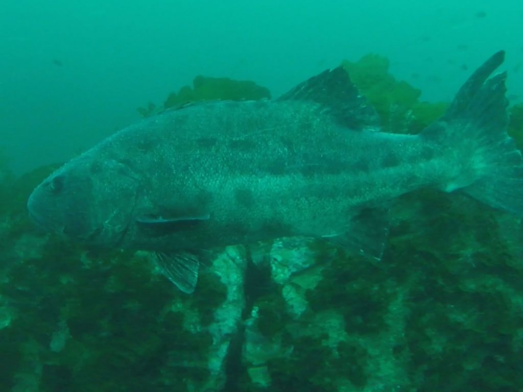 512e343e-7fc5-4912-a3b6-6533d97e3593